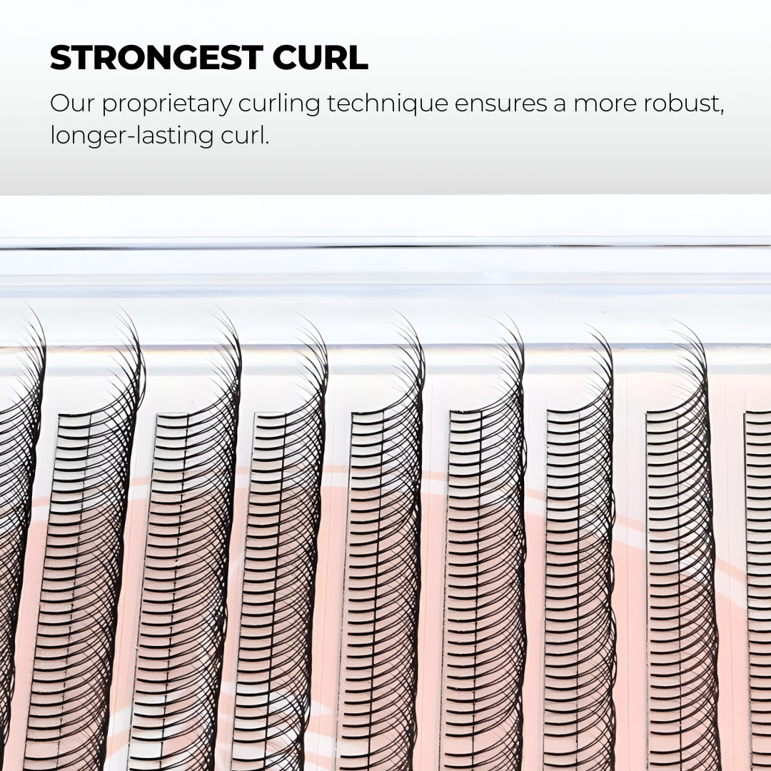 2D Premade Volume Fans Ultra Dark Short Stem