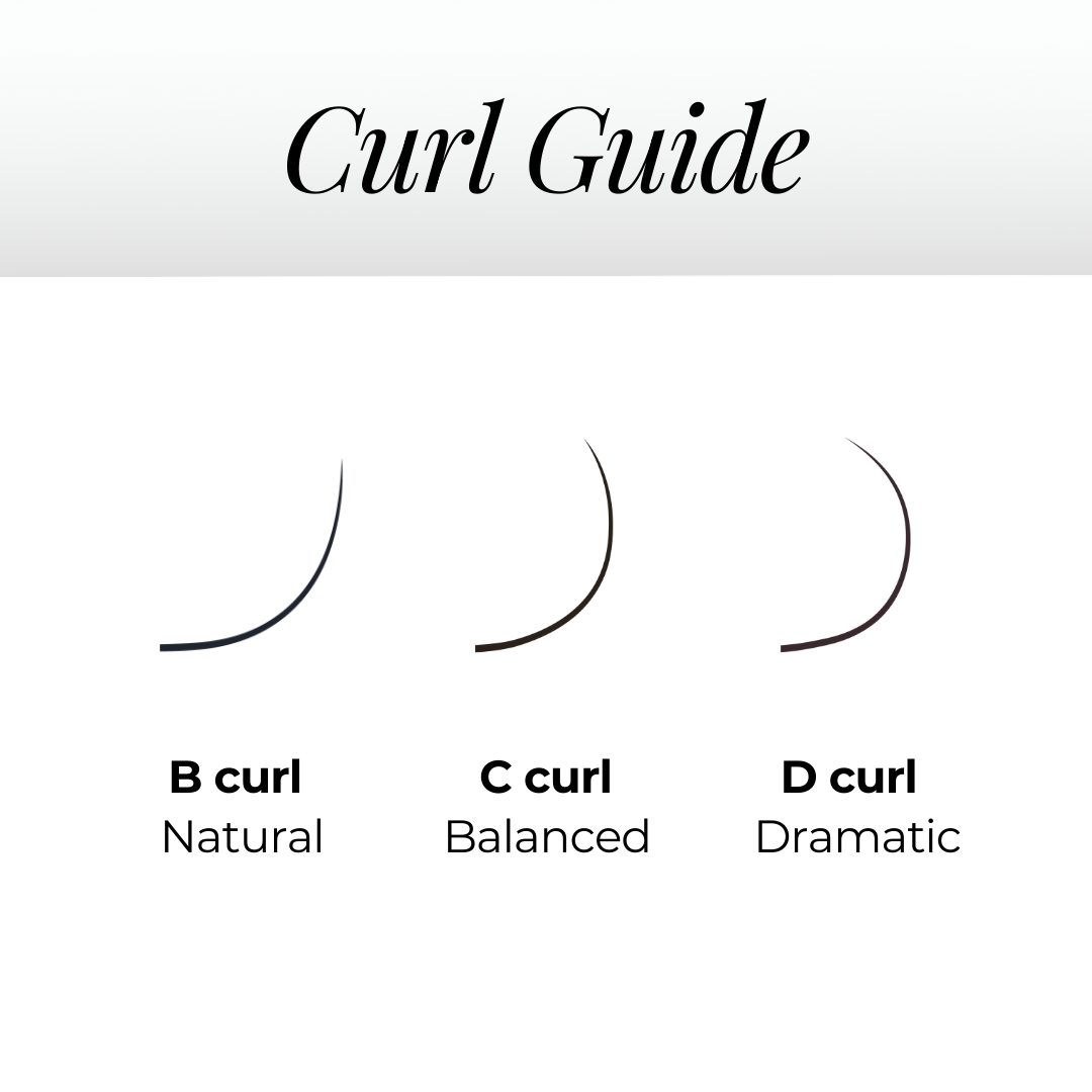 3D Premade Volume Fans Ultra Dark Short Stem