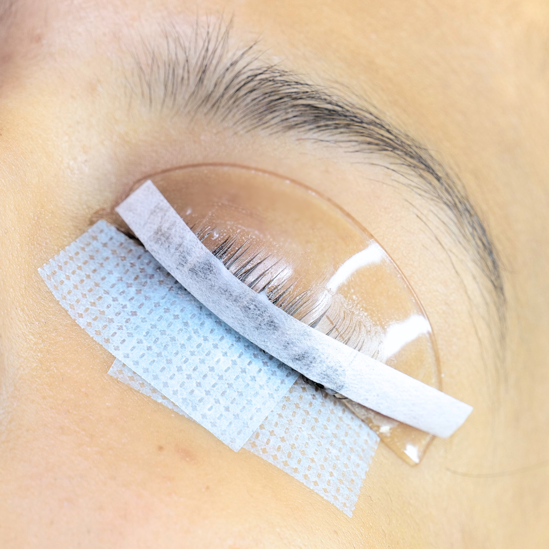 Lash Lift Paper Compensators | Alba