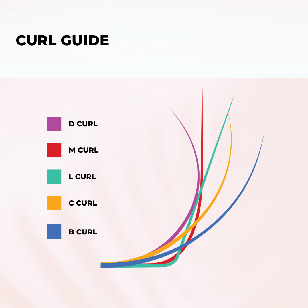 3D Promade Fans - Instant Setup 1000 Fans