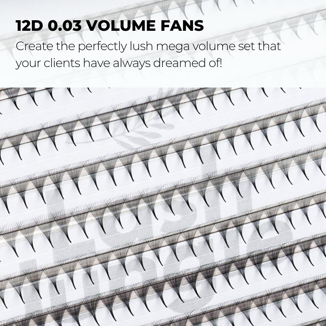 12D Narrow Promade Fans (680 Fans) - NOIR Collection