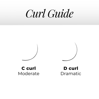 Premade Fans Starter Pack — 7x Mixed Trays