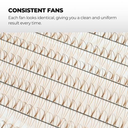 3D Brown Premade Volume Fans Short Stem