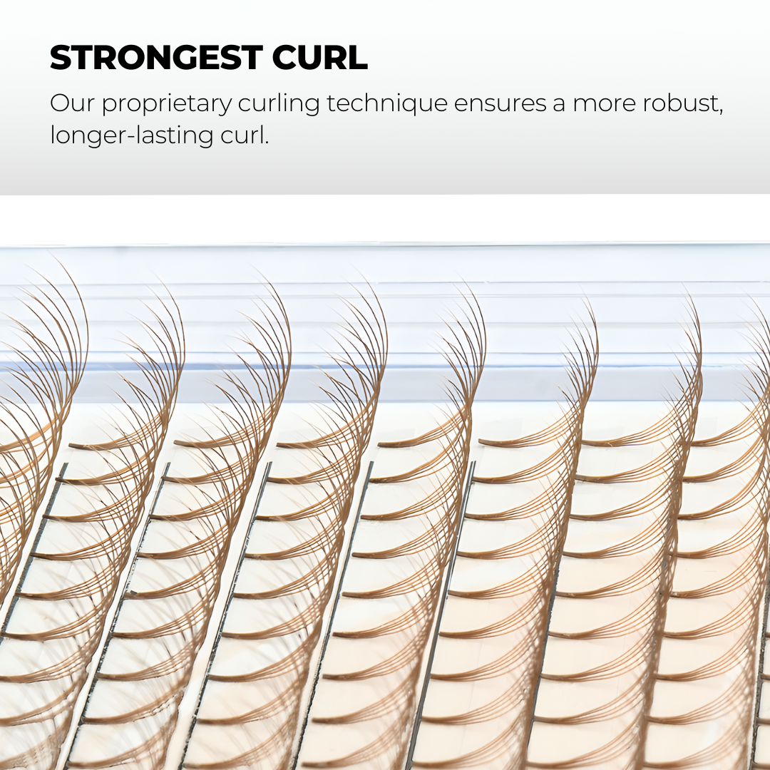 3D Brown Premade Volume Fans Short Stem