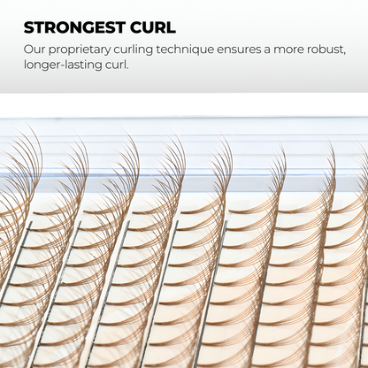 3D Brown Premade Volume Fans Short Stem