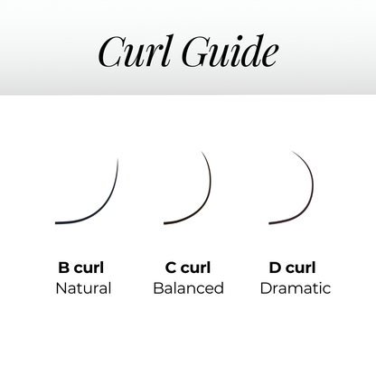 3D Premade Volume Fans Ultra Dark Long Stem