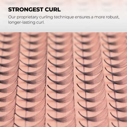 4D Premade Volume Fans Ultra Dark Long Stem