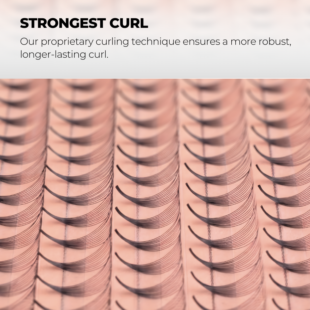 6D Premade Volume Fans Ultra Dark Long Stem