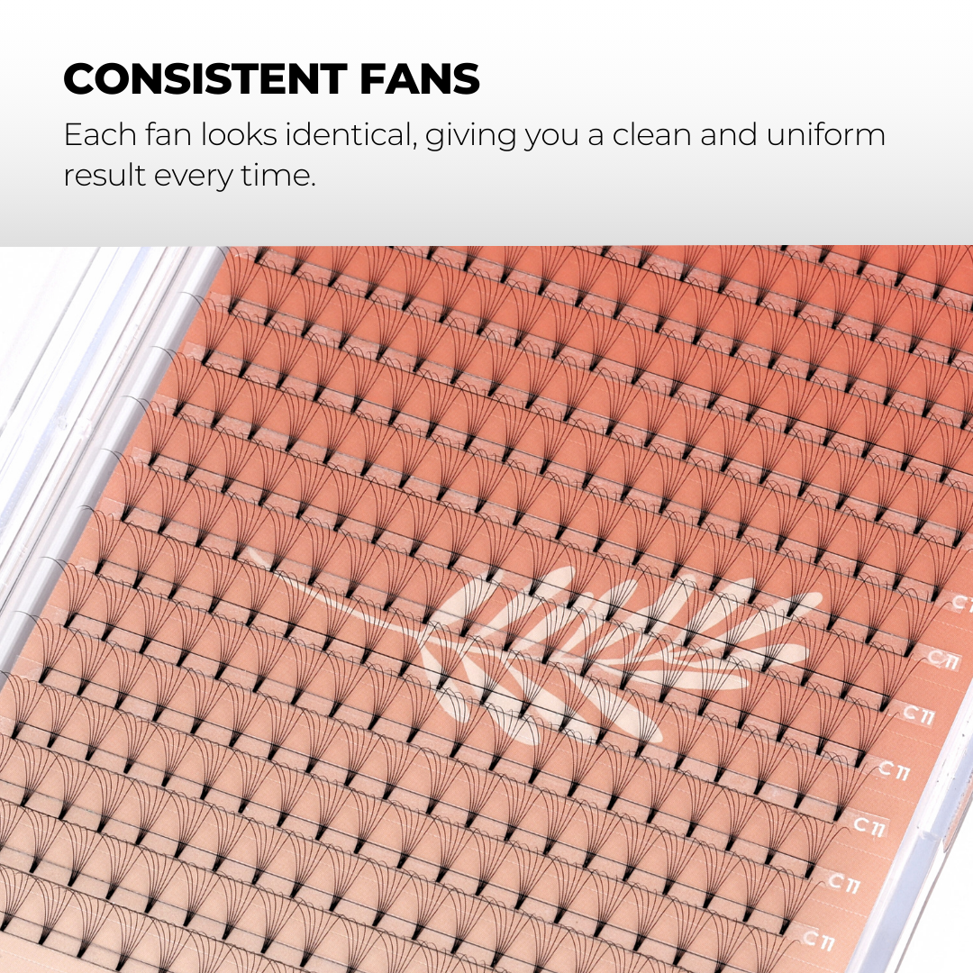 6D Premade Volume Fans Ultra Dark Short Stem