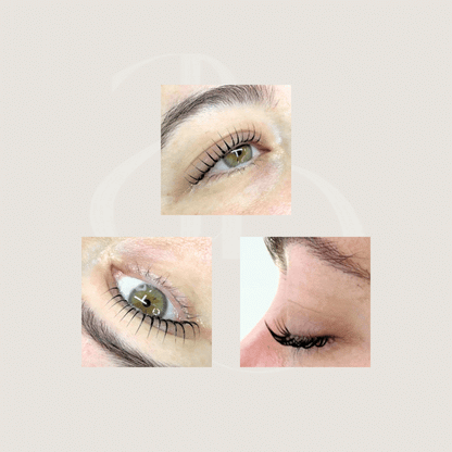 Extreme Lash Lifting Shields | Alba