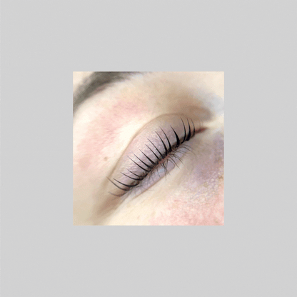 Re;Lax Step 1 Lash Lift &amp; Brow Lamination | Alba