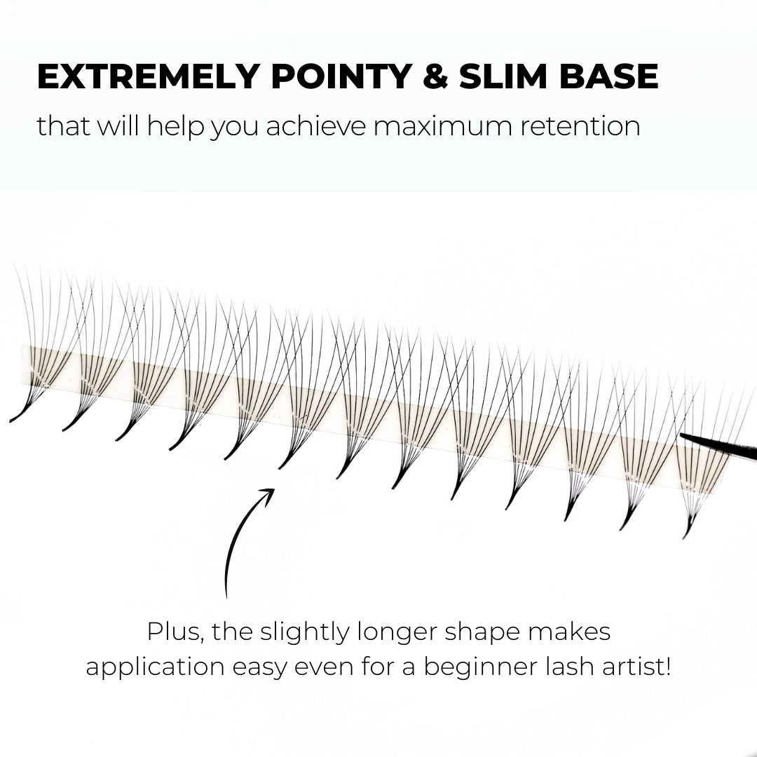 10D Promade Fans Instant Setup 1000 Lash Jungle