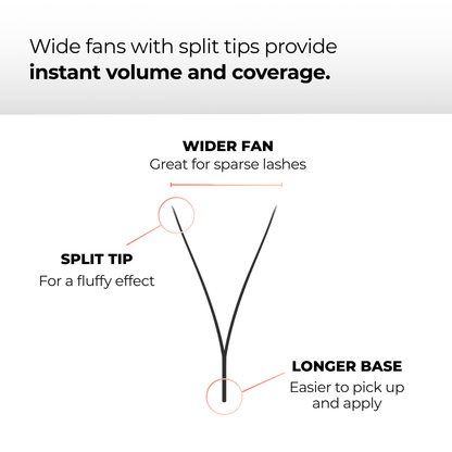 Premium Rainbow YY Lashes