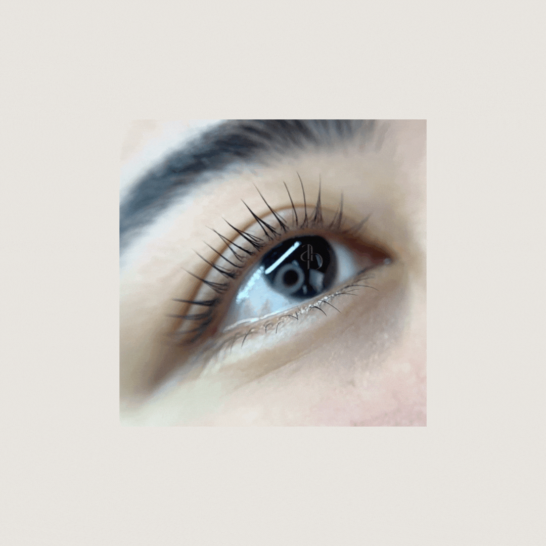 V Curl Lash Lifting Shields | Alba