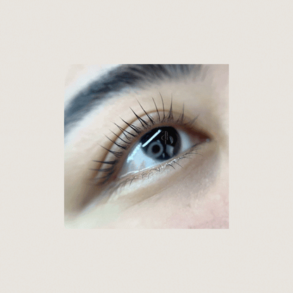 V Curl Lash Lifting Shields | Alba