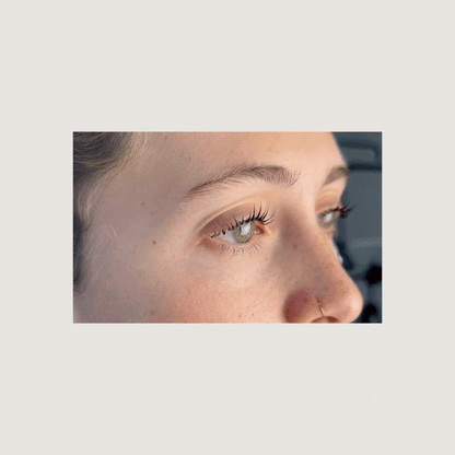 V Curl Lash Lifting Shields | Alba