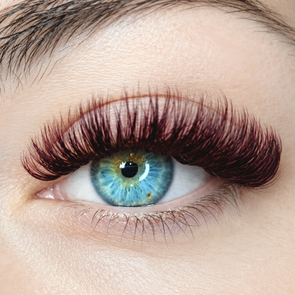 Velvet Wine Silk Volume Lashes